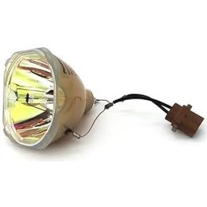 ET-LAF100 Projectorlamp for PT-D10000C/DW10000C/LB30NTU-projectoren(OB)