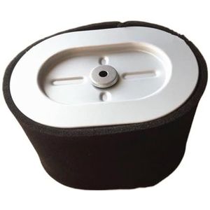 Filter past op BS 13,5 pk motorluchtfilter vervanging