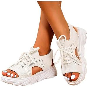 GeRRiT Platform Sandalen Sneakers for Dames Chic Zomer Nieuwe Dikke Zool Mesh Sandalen Mode Casual Damesschoenen Platte Mesh Uitgehold Mode Damesschoenen Dames Veterschoenen Platform Sandalen (Color