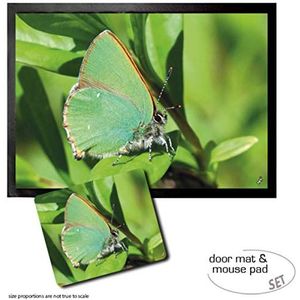 1art1 Vlinders, Hairstreak Butterfly On A Green Leaf Deurmat (70x50 cm) + Muismat (23x19 cm) Cadeauset