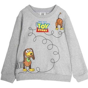 Cerdá Toy Story Sweatshirt 7 Years