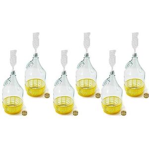 WYSKONT Nauwhals ballonfles met schroefdop, beschermingsmand, luchtslot en stop voor wijnproductie, gisting, drankbewaring, van transparant glas, 6 stuks x 5 l