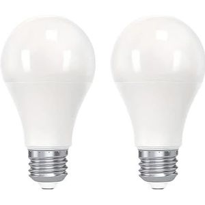 2 Stuks Led Lamp Lampen Licht Real Power 3W/6W/9W/12W/15W/20W Ac 220V 3000K/6000K B22/E27/E14 Super Heldere Gloeilamp (Color : B22, Size : WARM WHITE_2 PCS_6W)