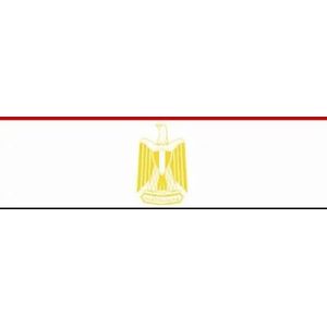 Vlag Egypte Vlag 50 x 75 cm Premium Kwaliteit Bootvlag Motorvlag Professionele kwaliteit