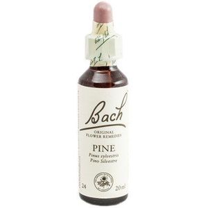 Bach Flores de Bach Pine 20 ml glazen fles met druppelaar