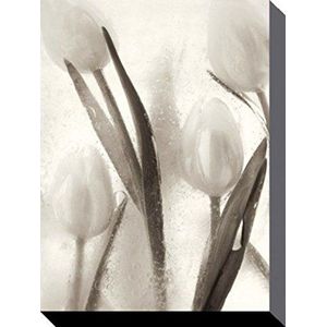 1art1 Bloemen Poster Kunstdruk Op Canvas Ice Form 7, Ryuijie Douglas Muurschildering Print XXL Op Brancard | Afbeelding Affiche 80x60 cm