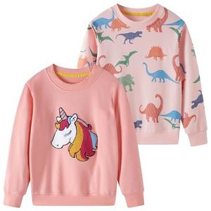 SOIBEEN Meisjes sweatshirt schattige kindertrui 2-pack eenhoorn top shirt pullover ronde hals lange mouwen vrijetijdskleding lente herfst katoen hoodie 1-10 jaar, roze eenhoorn + dinosaurus, 3-4 Jaren