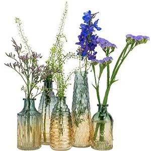 QUVIO Glazen vazen - Set van 5 - Vaasjes voor droogbloemen - Vaasjes voor echte bloemen - Retro vazen - Woonaccessoires voor bloemen en boeketten - Woondecoratie - Glas - Geel/Blauw