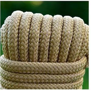 Buitentouw, Campingtouw, Klimtouw, Dia.10mm Lanyard Rope Survival Parachute Cord One Core Solid For Outdoor Camping Klimtouw Wandelen DIY Armband (Kleur: Rood, Lengte (m) : 10M) (Color : Coffee, Siz