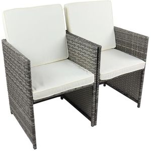 VCM 2-delige set tuinstoel, loungestoel, fauteuil, rotan, balkonstoel, camping, zitkussen, Raloso grijs