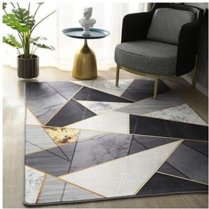 Tapijt Geometrische tapijt for woonkamer fluwelen tapijt slaapkamer nachtkastje vierkante tapijten zachte pluizige tapijten home salon sofa tafel decor mat Tapijt Woonkamer (Color : Printed C, Size