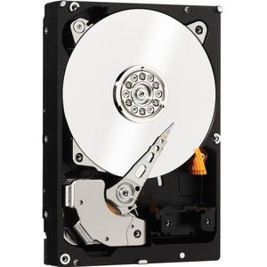 Western Digital WD200MFYYZ Interne harde schijf 2 TB SATA