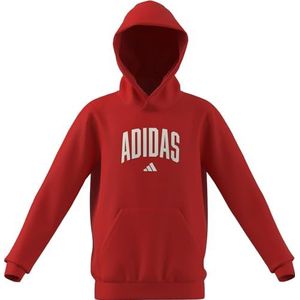 adidas Unisex niños CODES COLLEGIATE GRAPHIC HOODIE, pure ruby, 15-16 Years