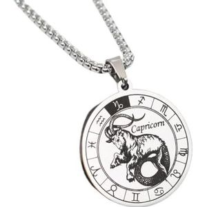 Twaalf Sterrenbeelden Hanger Ketting, Ronde Dierenriem Sterrenbeeld Hanger Hiphop Ketting Choker, Horoscoop Hemelse Astrologie Sieraden Voor Dames Heren, Steenbok Zilverachtig