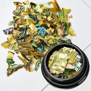 1 pot Nail Holografische Abalone Schelp Plakjes 3D Glitter Ultradunne Pailletten Vlokken Manicure Paillette Schelp Vlokken-1
