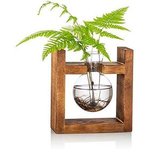 Voortplantingsstation 1 stuk bolle vaas glazen zoete erwt vaas voor bloemen terrarium vaas planter met houten rack standhouders voor groene water planten geschikt voor thuis, keuken, tafel, bureau binnendecoratie