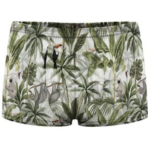 Tropische Toekan Palmbomen Bananenboom Bloemen Heren Boxer Slips Sexy Shorts Mesh Boxers Ondergoed Ademend Onderbroek Thong