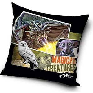 Harry Potter kussensloop 40x40 cm (Magic 192004)