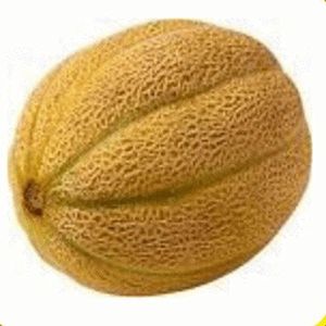 50 Semi Roccia Melone - Gouden kluis Jumbo semi pacchetto