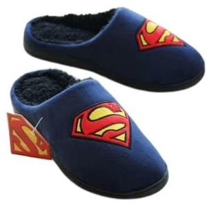 Dames Zomer Slippers Herenschoenen home pluche huis slippers liefhebbers mannen volwassen slipper man winter schoenen slippers Sloffen (Color : Blue 1, Size : 43-44)