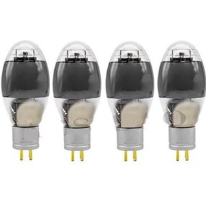 300B ZX300B WE300B 300BN 300BN 300BT 300B Audio versterker Kit Bijpassende DIY Kit