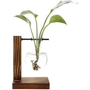 belupai Hydrocultuur Plantenvazen Vintage Bloempot Transparante Vaas Houten Frame Glazen Tafelblad Planten Thuis Bonsai Decor Drop Shipping (A - 1 Bolvaas)