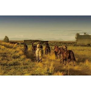 Renaiss 1.8x1.2m Paardenkudde achtergrond Westelijke Platteland Fotografie achtergrond Cowboy Cowgirl Party decoratie Vinyl behang volwassenen kinderen verjaardag portret fotostudio rekwisieten
