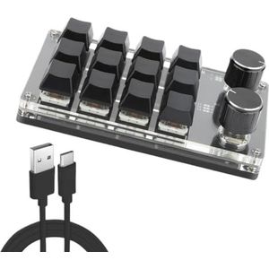 QPSJXN MECHINISCH toetsenbord RGB USB Bluetooth aanpasbaar hot-swap design met 2 knoppen compatibel met laptop tablet en meer (12-2 BT zwart)