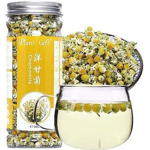 Plant Gift 100% Pure Chamomile Tea, 洋甘菊 Kamille -thee, maak acne theezakjes, kamille thee los blad, met lavendelthee, traditionele geneesmiddelen biologische kamille 30g