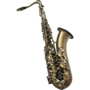 professioneel Saxofoon Professioneel Tenorsaxofoon Sax B-tenorsaxofoon Spelen Paragraaf Muziekkoffer Mondstuk (Color : Ordinary bag)
