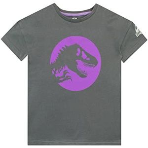 Jurassic World Jongens T-shirt Grijs 146
