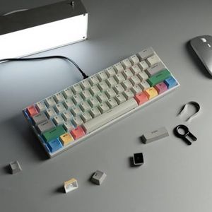 QPSJXN 60 procent retro gaming-toetsenbord, kabel bekabeld warm swappbaar mechanisme met RGB type C-verbinding, verschillende systemen, grijs