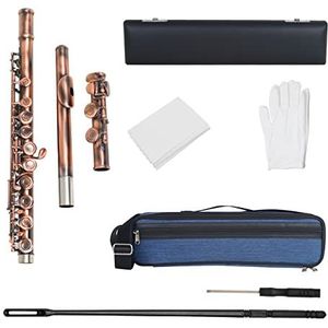 standaard dwarsfluit C-sleutel 16-Hole Fluit Gesloten Gat C Fluit Houtblazers Instrument Met Reinigingsstaaf Veeghandschoenen Fluitset fluit Muziekinstrument (Color : 01)