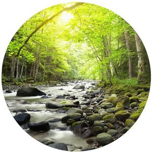 DEQORI Rond wandbehang, zelfklevend, diameter 120 cm, motief rivierbed, textielcanvas, verwijderbaar, decoratief en vormvast, voor woonkamer, kantoor, hal of kinderkamer