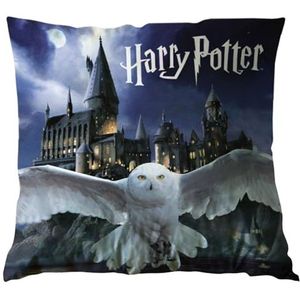 Harry Potter Hedwig Vierkante Kussen, Sierkussen 40x40 cm