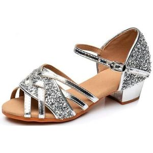 ROEUIPG Vrouwen Latin Dansschoenen Volwassen En Kind Moeder En Dochter Standaard Vrouw Dans Schoenen Voor Latijn, Salsa, Tango, Rumba, Cha Cha, Zilver, 40 EU