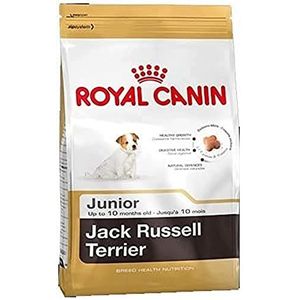Royal Canin Dog Food Jack Russell Junior 3 Kg,Wit