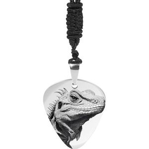 Komodo Dragon Hagedis (2) Gitaar Pick Ketting Metalen Hanger Charm Chain Ketting Sieraden Gift
