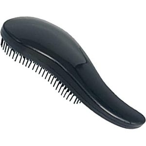 Haarborstel Gratis Haarkammen Unieke Handvat Ontwarrende Kam Zwart