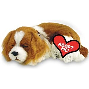 Perfect Petzzz Soft Cavalier King Charles
