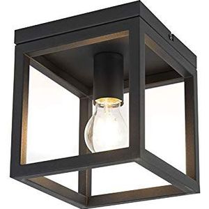 QAZQA - Industrieel | Industrie plafondlamp zwart - Cage 1 | Woonkamer | Slaapkamer | Keuken - Staal Vierkant - E27 Geschikt voor LED - Max. 1 x 60 Watt