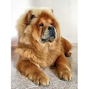 VAKUUM Diamant schilderij Kinder 5D Diamond Painting Kits, Chow-Chow-Hund süßes Tier DIY Malen Nach Zahlen Erwachsene Diamant Malerei Geburtstagsgeschenke50* 60cm