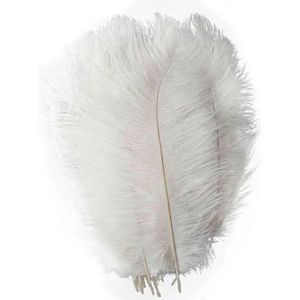 Groothandel 100 stks/partij natuurlijke witte struisvogelveren voor ambachten 15-35 cm carnavalskostuums feest thuis bruiloft decoraties pluimen-A1-20-