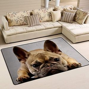 Vloerkleed 100 x 150 cm, trieste bulldog vloerkleden voor slaapkamer, pluche woonkamertapijt, antislip welkomstmat, voor ingang, kinderkamer