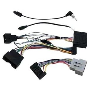 Voor F&ord Voor Fiesta 2009 2010 2011 2012-2014 9 Inch Radio Speler Frame 2din Hoofd Unit Fascia Stereo Dash Paneel Dashboard sierlijst(Alleen kabel Canbus)