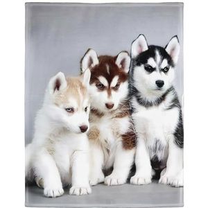 YISUMEI - Zachte Fleece Deken - Siberische Husky Puppies Honden Huisdieren, 150 x 200 cm plaid geschikt voor bed of bank