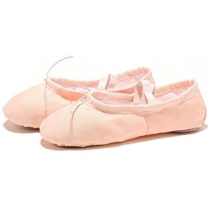 Ballet Canvas Dansschoenen Slipper voor Kinderen Peuter Vrouwen Ballet Slippers voor Dansen (FuPink, 43 (25 cm))