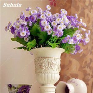 Seeds 50 pc/bag, Campanula seeds, vessel seed, bonsai seed of flower, purify the air, planting is simple, the rate of rate 95% 12: Only seeds