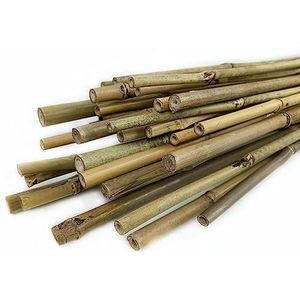 CULTIVERS Plantensteunen van bamboe, 180 cm (Ø 14/16 mm), verpakking met 30 stuks, klimhulp voor tomaten, moestuin, bomen en alle soorten planten, staven voor planten, natuurlijke bamboe