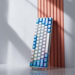 QPSJXN MK61 USB Mechanisch Toetsenbord Red Switch Hot Swappable RGB RGB Backit Lunzel 61 Kabel - Verwijderbaar Compatibel met Meerdere Systemen (MK61-WB)